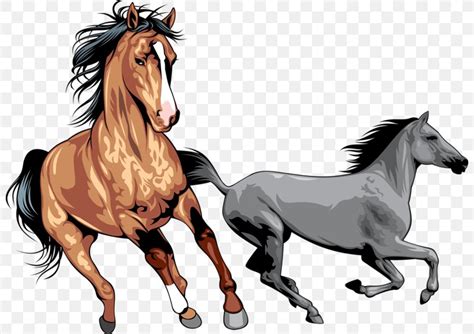 wild horse clipart|100,000+ Free Wild Horses & Horse Images .